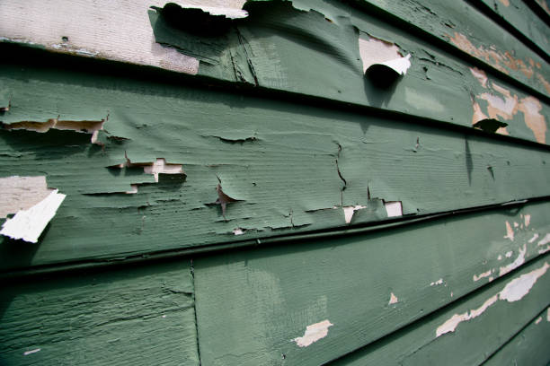 Best Property Management Cleanouts  in Allegan, MI