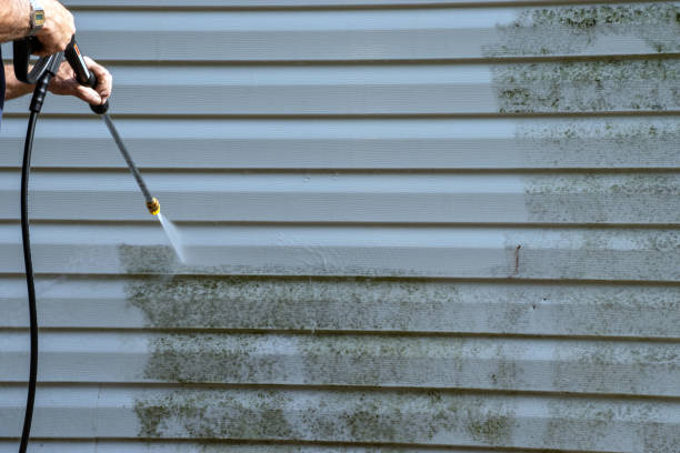 Best Furniture Removal  in Allegan, MI