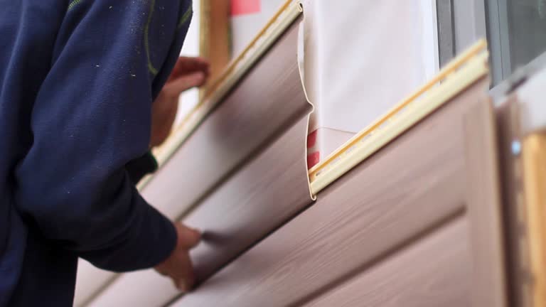 Best Dumpster Rental Services  in Allegan, MI